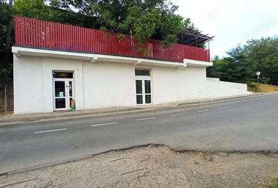 Spațiu comercial, de 90 mp, în Valea Adâncă - 2