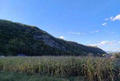 Teren de 2800 mp, în Central - 9