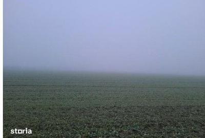 Teren de 4040 mp, în Troianul - 7