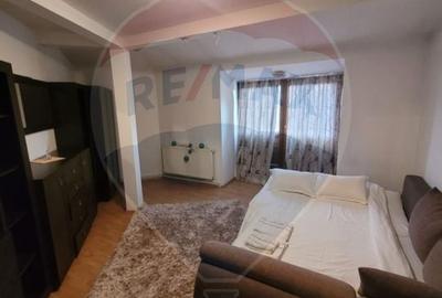 Apartament cu 5 camere de inchiriat in zona Vasile Aaron - 10