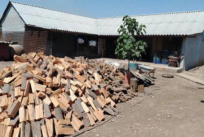 Casa de vanzare in sat LANURILE - 17