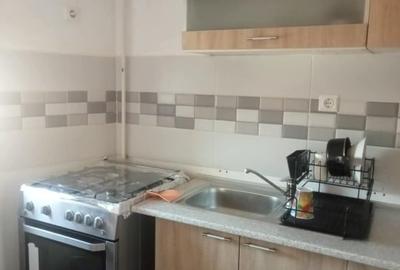 Garsonieră decomandată, mobilată în Nicolina - 9