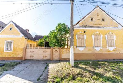Vand casa in Chesin?, com. Zabrani, jud. Arad 2.376 mp teren - 6