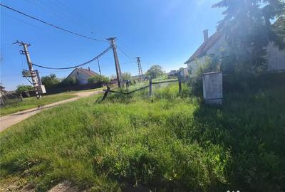 Casă cu 2 camere cu Teren 3462 Mp în Borș - 4