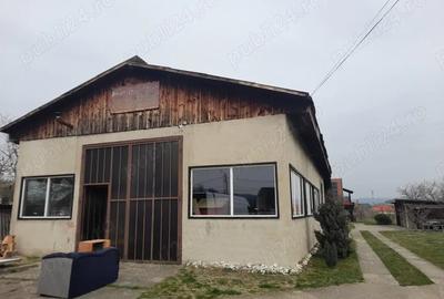 Spațiu comercial, de 145 mp, în Caransebeș - 3