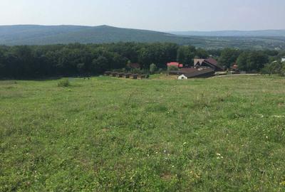 Spațiu comercial, în Pietrăria - 3