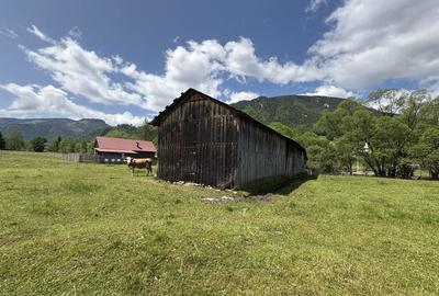 Teren de 75000 mp, în Dămuc - 3