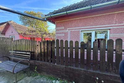 Casă cu 2 camere în Șepreuș - 4