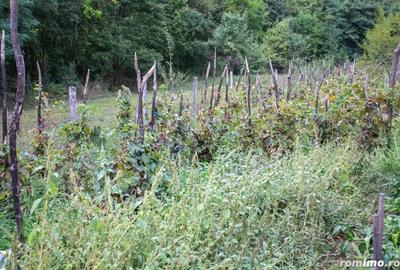 Vand TEREN ?i casa in satul Costeni, comuna Tismana, jude?ul Gorj. - 2
