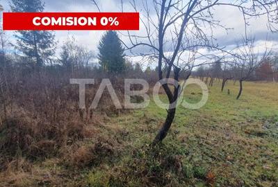 Teren extravilan 1000 mp Statiunea Climaterica Sambata de Sus - 2