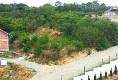 TEREN INTRAVILAN - RM. VALCEA - 9