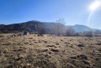 Zona Glajarie - Rasnov, teren ideal pentru investitie sau constructii de vacanta. - 3