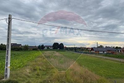 Teren intravilan de vanzare in Catalina, langa Han, ... - 5