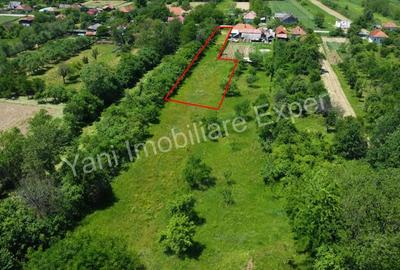 Teren de vanzare in comuna Poienarii de Arge?, sat Ceaure?ti, Jude? Arge?. - 14