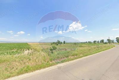 Teren de 9750 mp, în Hălchiu - 1