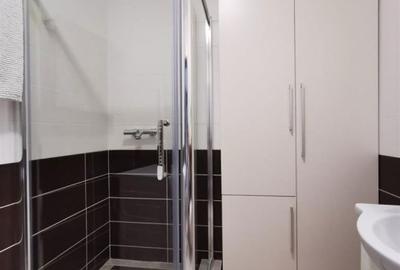 Apartament cu 2 camere decomandat, mobilat în Andrei Mureșanu - 4
