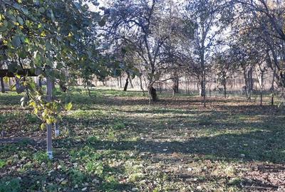 Casa de vanzare la ?ara Faureni, comuna Vultureni - 3