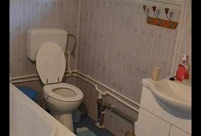 Vand casa in Valea Macrisului - 4