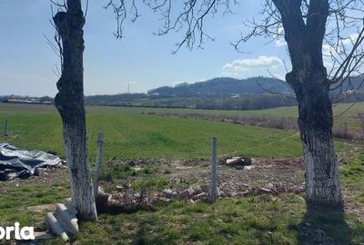 Teren de 40000 mp, în Central - 2