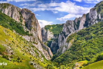 Teren de 14000 mp, în Mihai Viteazu - 5