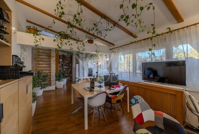 Casă individuală cu 9 camere cu Piscina în Sub Arini - 37