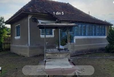 Vand Gospodarie CU Carte Funciara 3000MP - 1