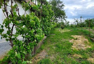 Casa 2 camere cu suprafata 50mp si teren 1300mp,in Miercurea Sibiului - 8