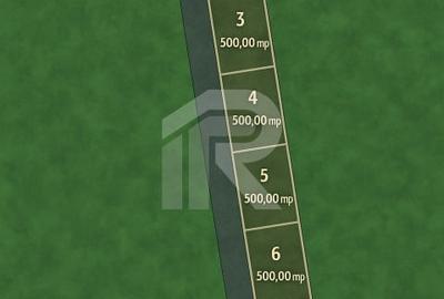 Terenuri de vanzare – Vladiceasca, Snagov - 3