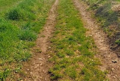 Teren de 3300 mp, în Râciu - 2