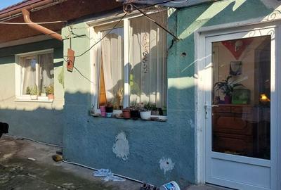 Doua case individuale cu teren total de 2753 mp in Dambul Rotund - 4