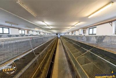 FILM! Ferma de iepuri,Malnas,Covasna: domeniu industrial comercial,asset UE - 4