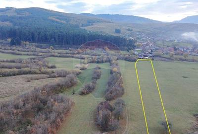 Teren 5.800 mp Purcareni curent, gaz, apa / Strada 30 de... - 2