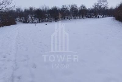 Spațiu comercial, în Rășinari - 2