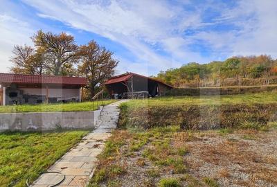 Casa de vanzare, sub padure, intr-un cadru natural deosebit - Sancraiu Casa de vanzare, sub padure, intr-un cadru natural deosebit - Sancraiu - 13