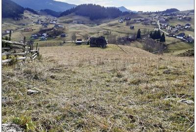Teren Cu Priveliste Deosebita De Vanzare In Fundata - 4