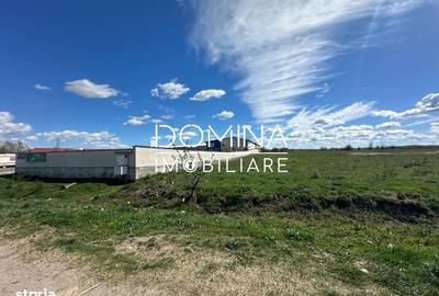 Spațiu comercial, în Narciselor - 3