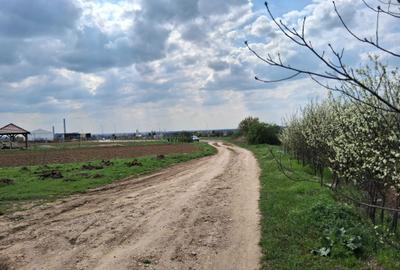 Spațiu comercial, în Central - 5