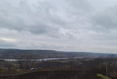 Teren Aroneanu 1000mp - 1