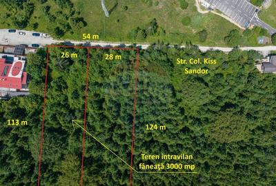 Teren de 3000 mp, în Dâmbul Morii - 7
