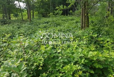 Teren Construcții intravilan de 6843 mp, în Polovragi - 4