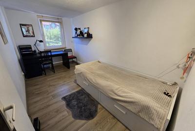 Casa individuala la curte Bucurestii Noi - 10