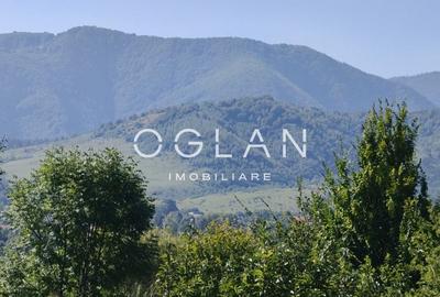 Terenul pe care se cladeste visul tau - Tocile, Sibiu - 10