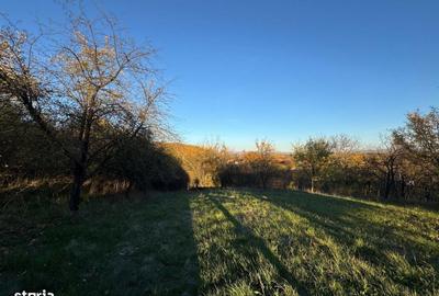 Teren de 3323 mp, în Ineu - 8