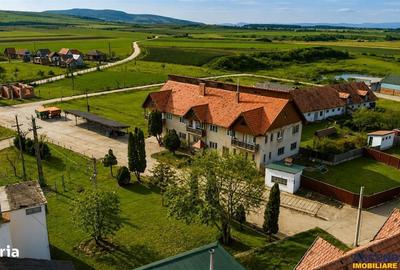 Spațiu comercial, în Boroșneu Mare - 5