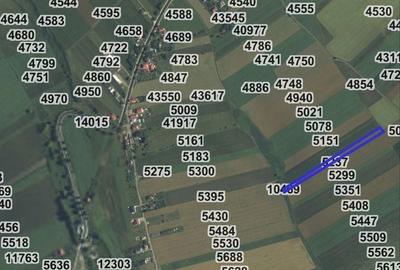 Teren de 20947 mp, în Moara - 4