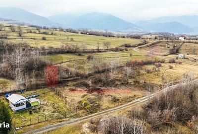 Spațiu comercial, în Cisnădioara - 8