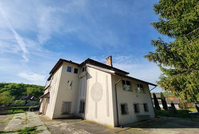 Casă cu Teren 1634 Mp în Gurișoara - 8