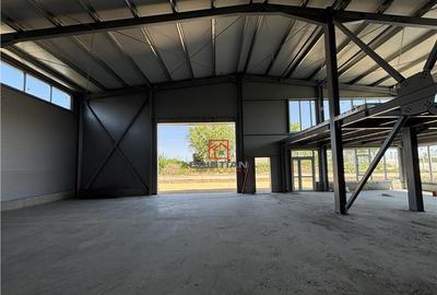 Depozit/hala/spatiu industrial Theodor Pallady - Drumul Int - 1