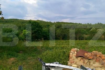 Casă cu 2 camere cu Teren 4700 Mp în Răscruci - 3