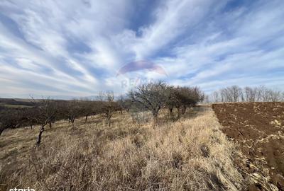 Spațiu comercial, în Bădeni - 3